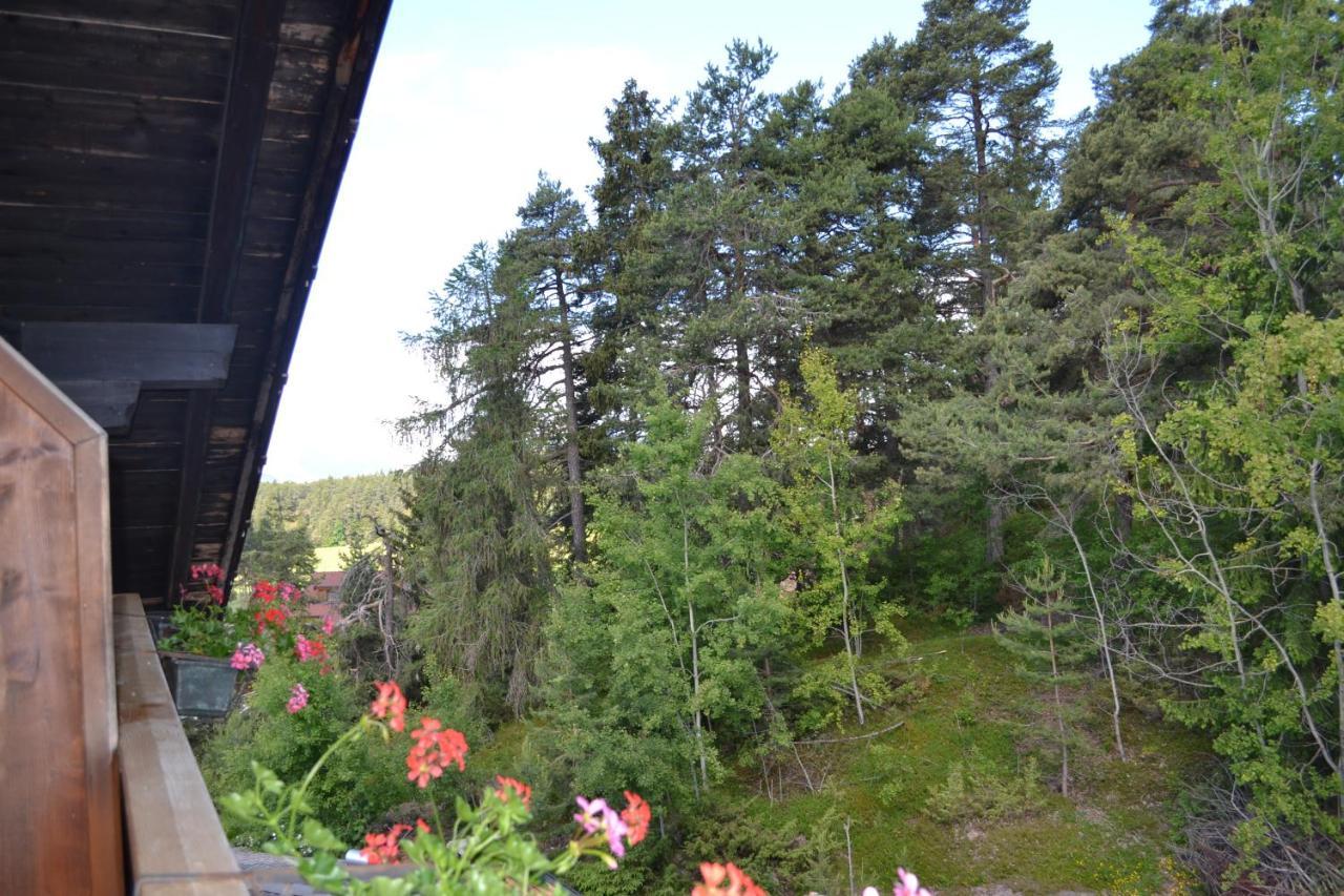 Gasthof Zum Gruenen Baum Verano Eksteriør bilde